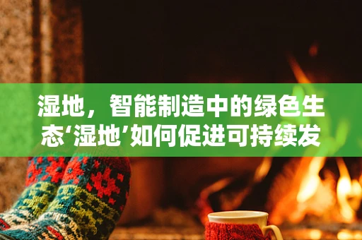 湿地，智能制造中的绿色生态‘湿地’如何促进可持续发展？