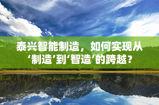 泰兴智能制造，如何实现从‘制造’到‘智造’的跨越？