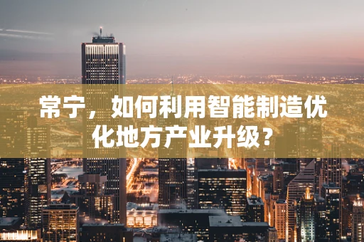 常宁，如何利用智能制造优化地方产业升级？