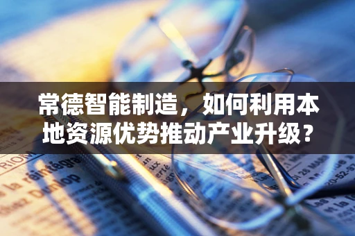 常德智能制造，如何利用本地资源优势推动产业升级？