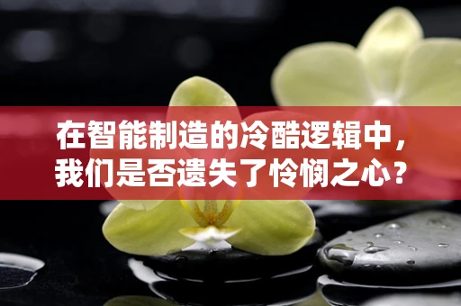 在智能制造的冷酷逻辑中，我们是否遗失了怜悯之心？