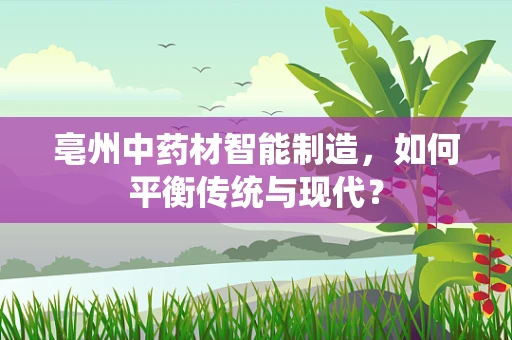 亳州中药材智能制造，如何平衡传统与现代？