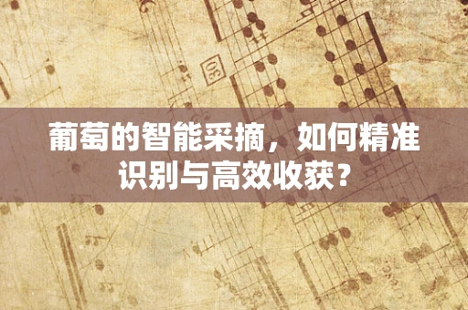 葡萄的智能采摘，如何精准识别与高效收获？