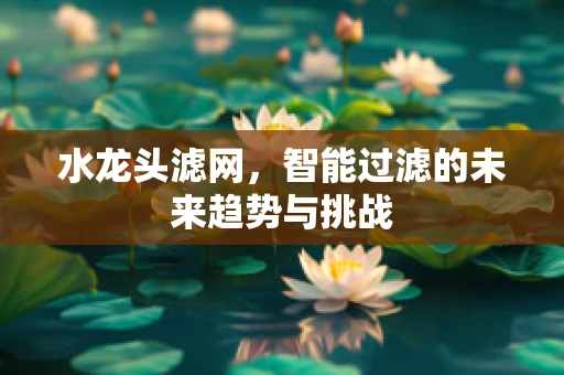 水龙头滤网，智能过滤的未来趋势与挑战