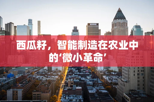 西瓜籽，智能制造在农业中的‘微小革命’