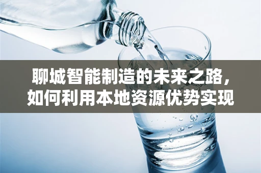 聊城智能制造的未来之路，如何利用本地资源优势实现转型升级？