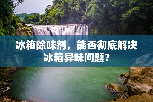 冰箱除味剂，能否彻底解决冰箱异味问题？