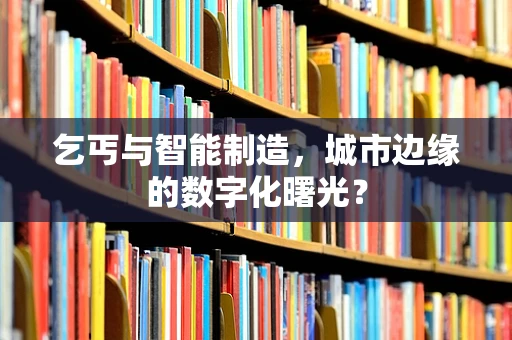 乞丐与智能制造，城市边缘的数字化曙光？