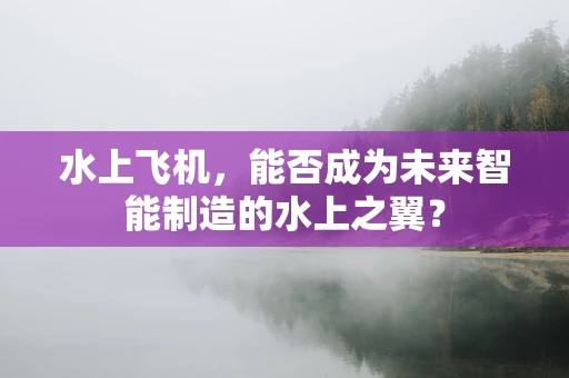 水上飞机，能否成为未来智能制造的水上之翼？