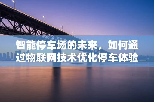 智能停车场的未来，如何通过物联网技术优化停车体验？
