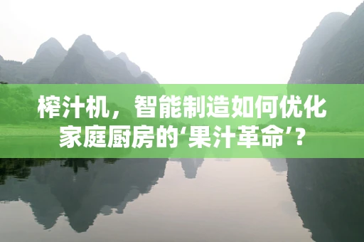 榨汁机，智能制造如何优化家庭厨房的‘果汁革命’？