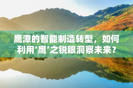 鹰潭的智能制造转型，如何利用‘鹰’之锐眼洞察未来？