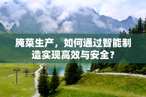 腌菜生产，如何通过智能制造实现高效与安全？