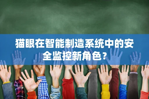 猫眼在智能制造系统中的安全监控新角色？