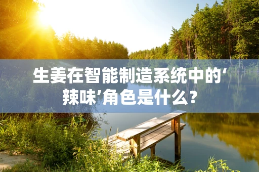 生姜在智能制造系统中的‘辣味’角色是什么？