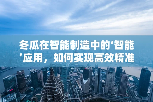冬瓜在智能制造中的‘智能’应用，如何实现高效精准的切割？