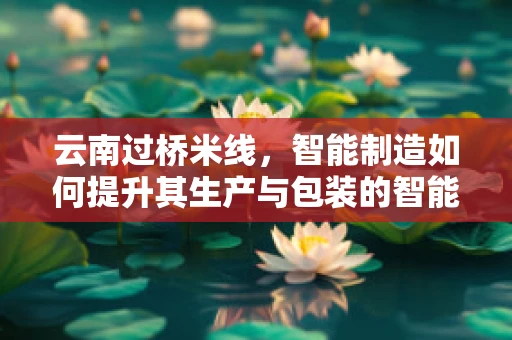 云南过桥米线，智能制造如何提升其生产与包装的智能化水平？
