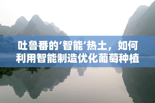 吐鲁番的‘智能’热土，如何利用智能制造优化葡萄种植？