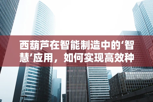 西葫芦在智能制造中的‘智慧’应用，如何实现高效种植与精准管理？