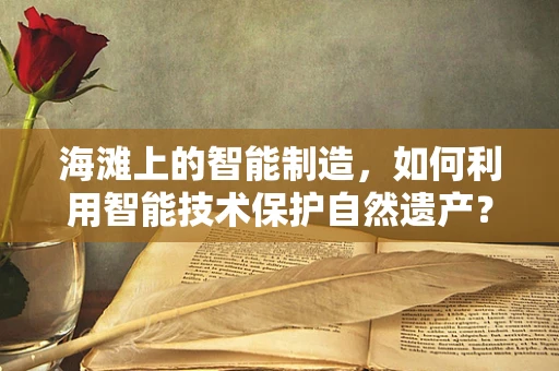 海滩上的智能制造，如何利用智能技术保护自然遗产？