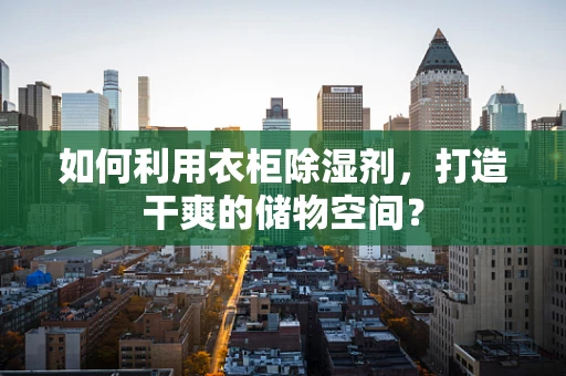 如何利用衣柜除湿剂，打造干爽的储物空间？