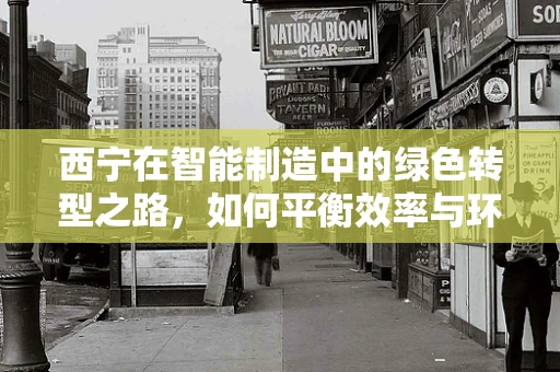 西宁在智能制造中的绿色转型之路，如何平衡效率与环保？