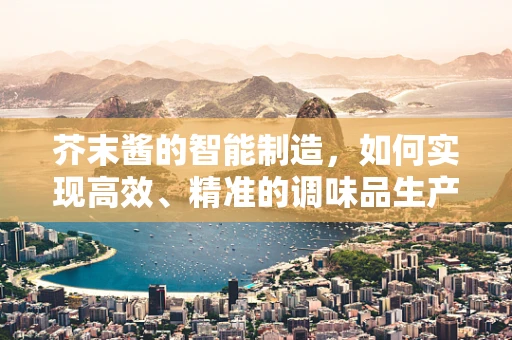 芥末酱的智能制造，如何实现高效、精准的调味品生产？