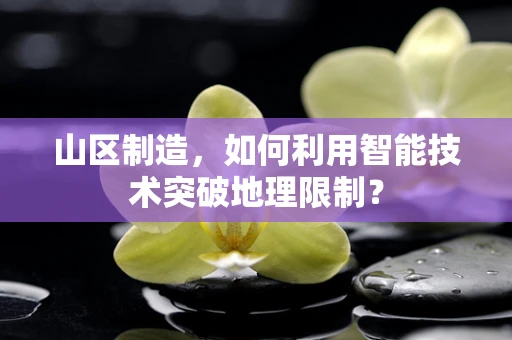 山区制造，如何利用智能技术突破地理限制？