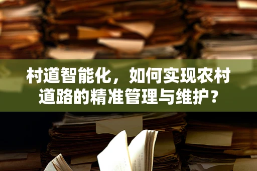 村道智能化，如何实现农村道路的精准管理与维护？