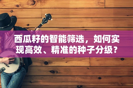 西瓜籽的智能筛选，如何实现高效、精准的种子分级？