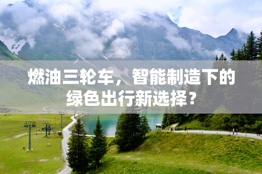 燃油三轮车，智能制造下的绿色出行新选择？