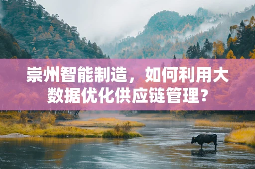 崇州智能制造，如何利用大数据优化供应链管理？