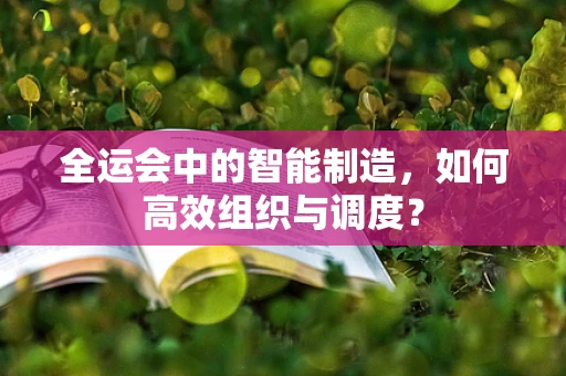 全运会中的智能制造，如何高效组织与调度？
