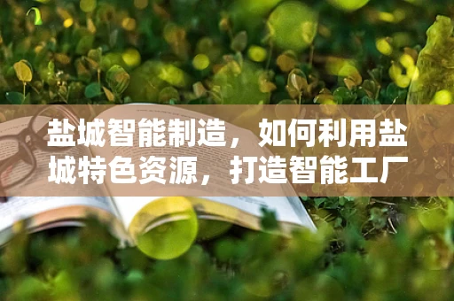 盐城智能制造，如何利用盐城特色资源，打造智能工厂的‘盐城模式’？