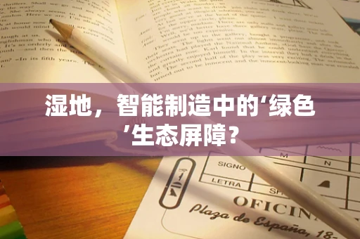 湿地，智能制造中的‘绿色’生态屏障？