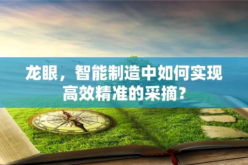 龙眼，智能制造中如何实现高效精准的采摘？