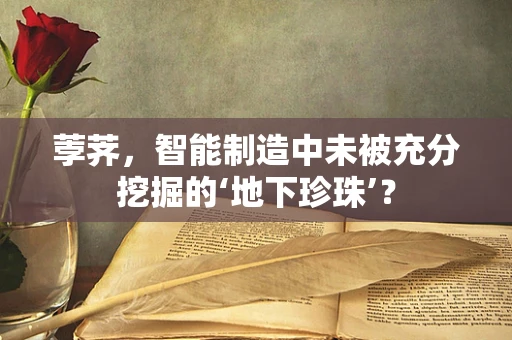 荸荠，智能制造中未被充分挖掘的‘地下珍珠’？