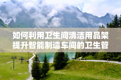 如何利用卫生间清洁用品架提升智能制造车间的卫生管理水平？
