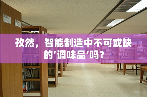 孜然，智能制造中不可或缺的‘调味品’吗？