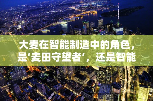 大麦在智能制造中的角色，是‘麦田守望者’，还是智能生产的‘黄金粒’？
