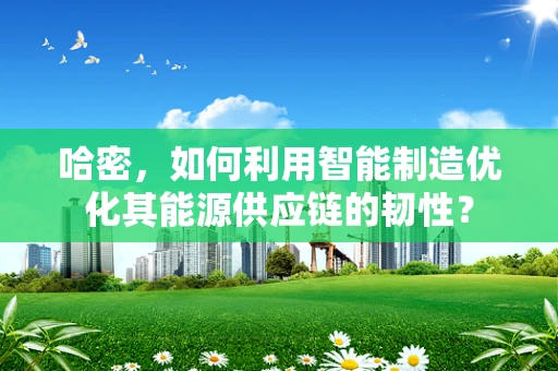 哈密，如何利用智能制造优化其能源供应链的韧性？