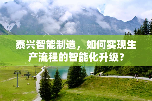 泰兴智能制造，如何实现生产流程的智能化升级？