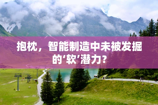 抱枕，智能制造中未被发掘的‘软’潜力？