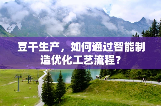 豆干生产，如何通过智能制造优化工艺流程？