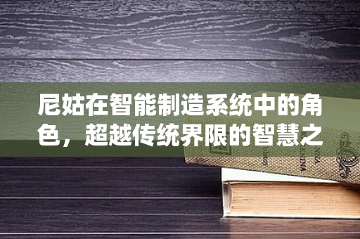 尼姑在智能制造系统中的角色，超越传统界限的智慧之选？