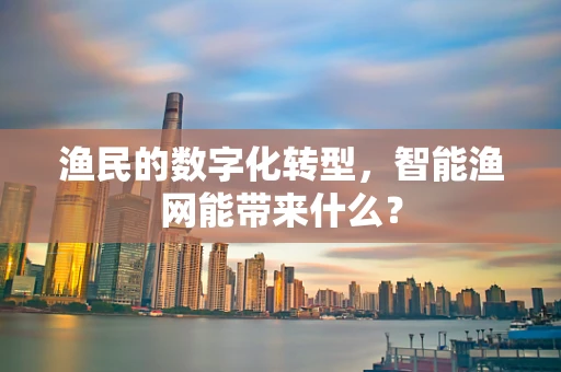 渔民的数字化转型，智能渔网能带来什么？