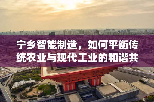 宁乡智能制造，如何平衡传统农业与现代工业的和谐共生？