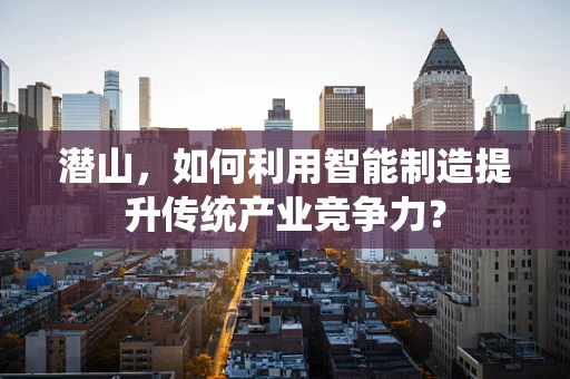 潜山，如何利用智能制造提升传统产业竞争力？
