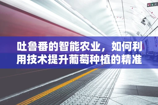吐鲁番的智能农业，如何利用技术提升葡萄种植的精准性？