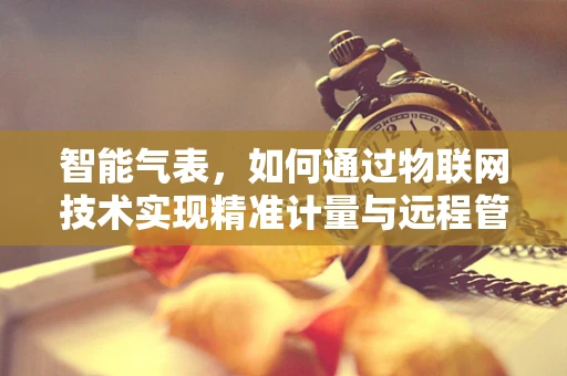 智能气表，如何通过物联网技术实现精准计量与远程管理？
